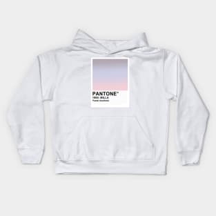 Pastel Aesthetic Kids Hoodie